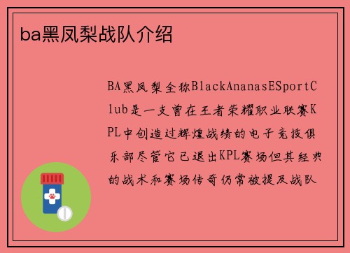 ba黑凤梨战队介绍
